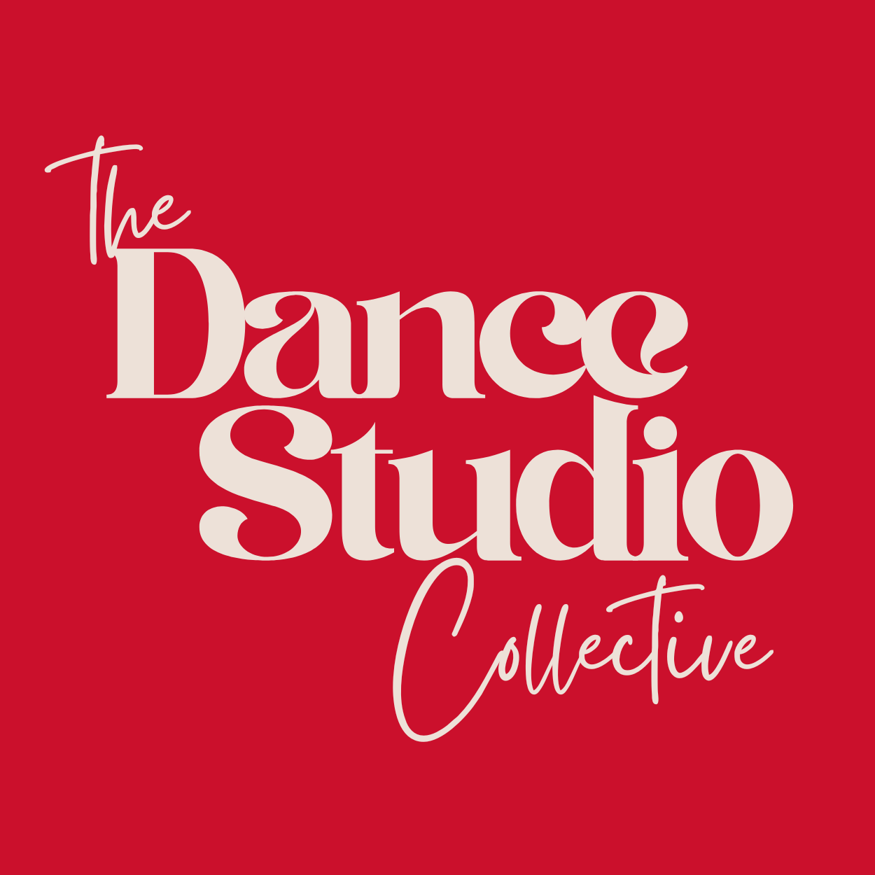 THE DANCE STORE